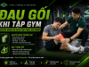 Đau gối khi tập gym: Nguyên nhân và cách tập phục hồi đúng