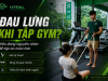 Vì sao bị đau lưng khi tập gym? Cách chỉnh kỹ thuật để tập an toàn hơn