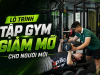 Tập gym giảm mỡ bao lâu thì thấy hiệu quả? Lộ trình cho người mới