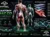 Tìm hiểu IASTM là gì, Vì sao nên chọn trung tâm chuyên môn như Vital Fitness & Recovery?