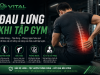 Vì Sao Tập Gym Sai Tư Thế Dễ Gây Đau Lưng?