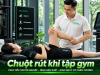 Chuột rút khi tập gym: Nguyên nhân, cách xử lý và phòng ngừa tái diễn