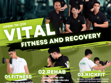 Tổng Quan về Vital