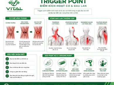 Vital Fitness and Recovery Trigger Point