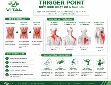 Vital Fitness and Recovery Trigger Point