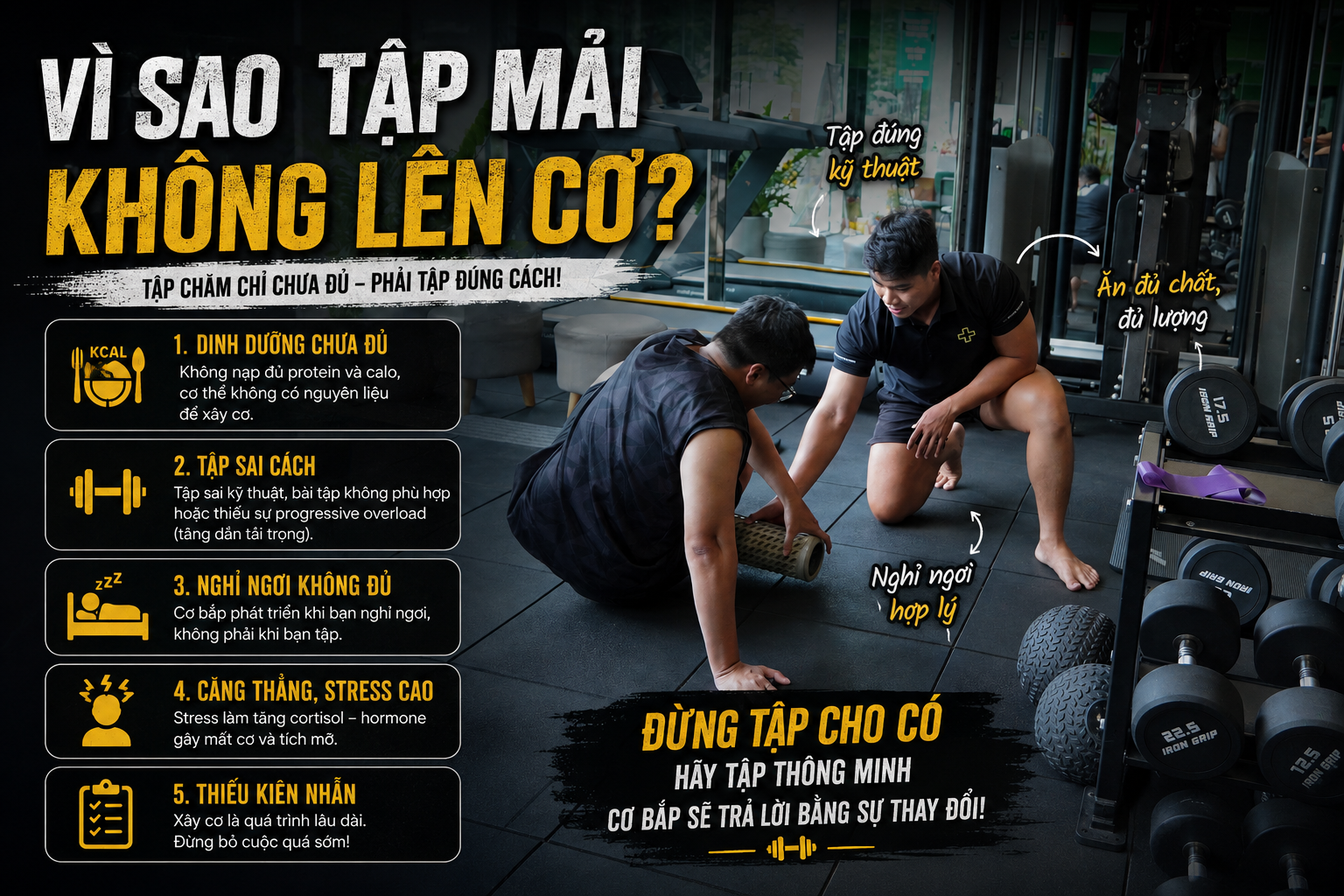 Tập mãi không tăng cơ